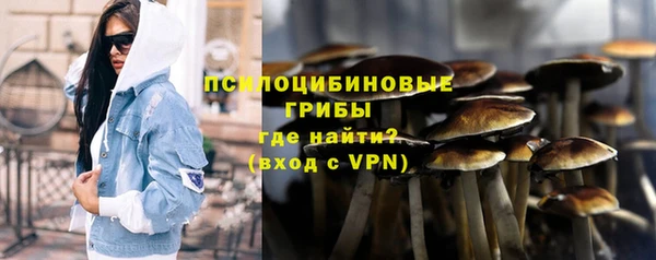 соль курить ск Ельня