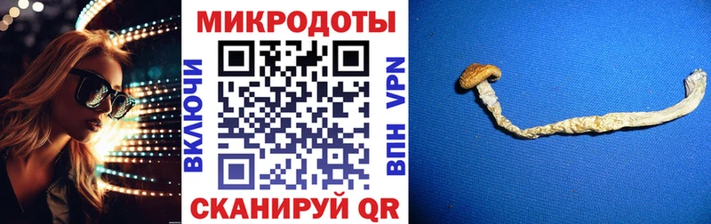 Псилоцибиновые грибы мицелий  даркнет сайт  Калачинск 